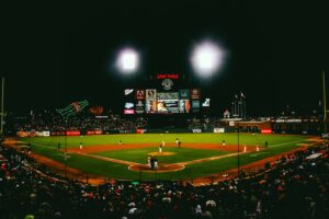 Bet on baseball, comprehensive guide, beginners