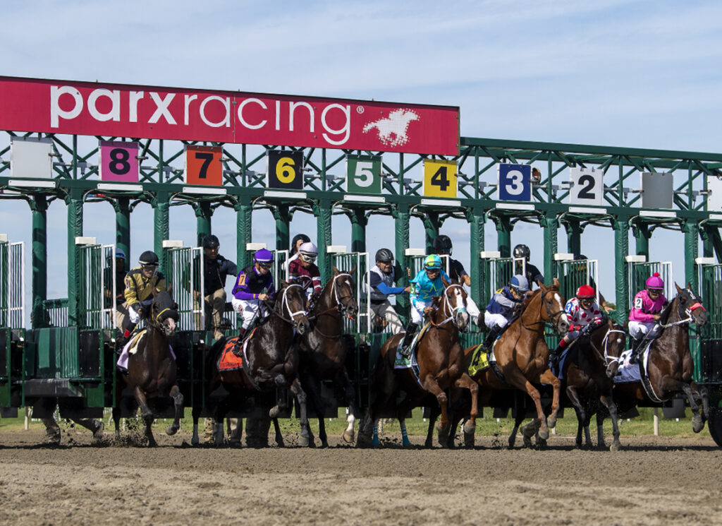 5 Reasons to Experience Online Gambling Horse Racing: The Thrill of the Track in the Digital Age